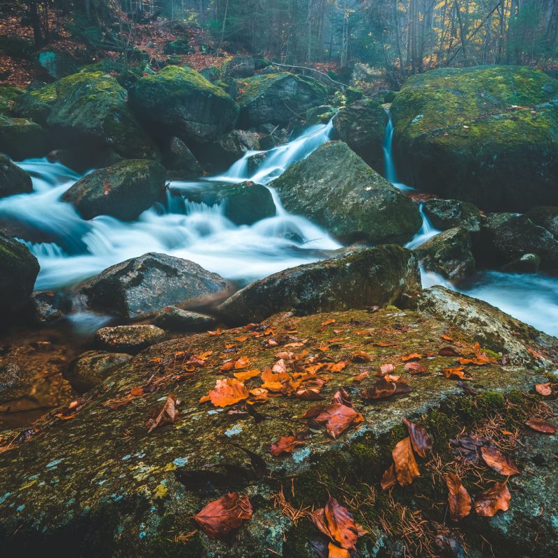 Naturfotografie