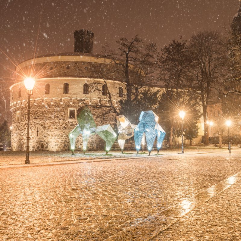 Kaisertrutz im Schneegestöber